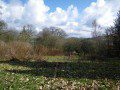 New Apiary Site