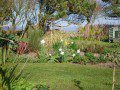 Garden in Spring