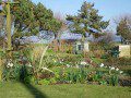 Garden in Spring