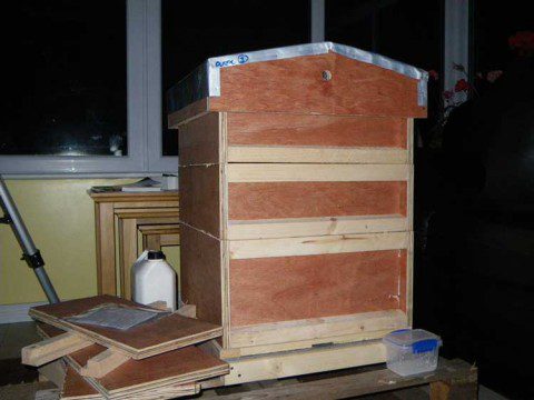 Constructed Beehive