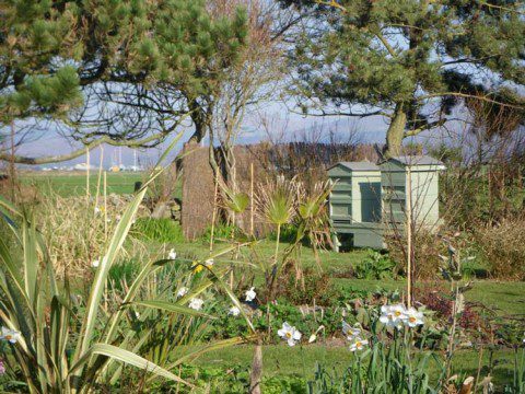 Hives at the Bottom of the Garden