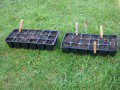 Seed Trays