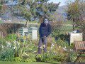 Browsing the Garden