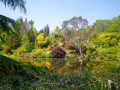 Dingle Garden