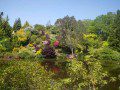 Dingle Garden