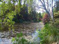 Dingle Lake