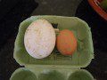 Goose Eggs