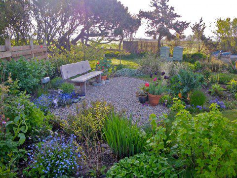 Our Garden in Spring
