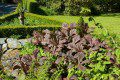 Formal Garden