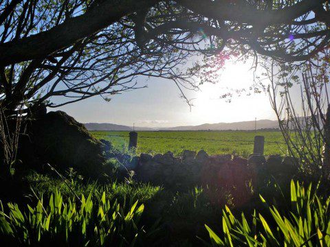 View up the Dyfi Valley this Morning
