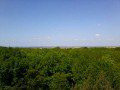 View from the Top