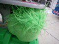 Green Puffle