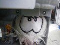 White Puffle