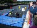 The Swim