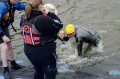 Exiting the Swim