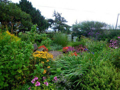 Our Garden