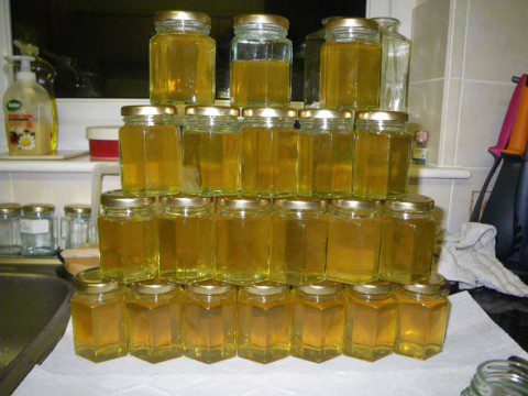 Honey Crop 2012