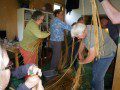 Crazy Beekeepers!