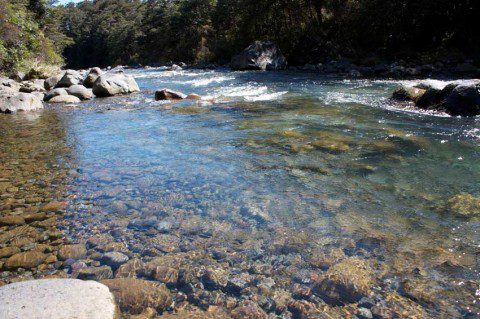 Clear Mountain Stream