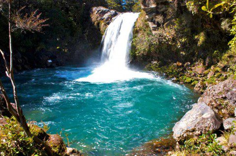 Hawhia Falls Plunge Pool