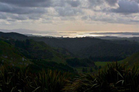 Kawhia Harbour View from Pirongia Forest