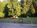Trounson Park Campsite