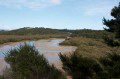 Waitangi River