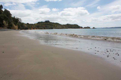 Beach made for walking