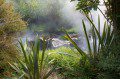 Boiling Stream
