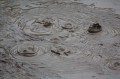 Bubbling Mud Pool