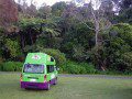 Camping at Whitianga