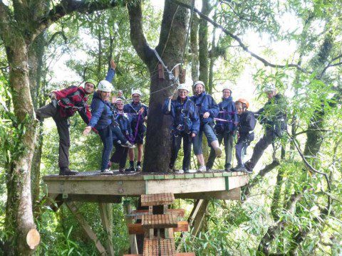 Canopy Tour