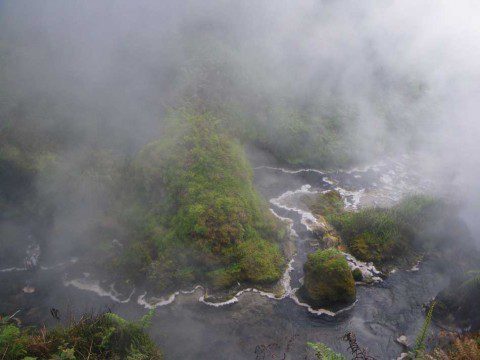 River Bank or Coastline from the Air?