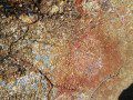 Coloured Rocks