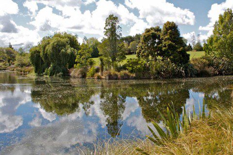 Lake view