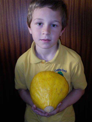 Home Grown Pumpkin