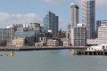 Racing in Auckland Harbour