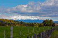 Ruapehu