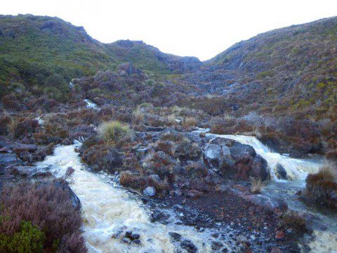 Silica Rapids