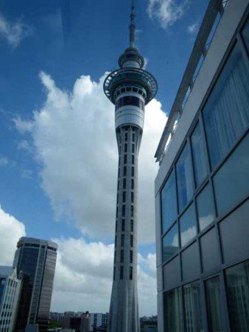 Sky Tower from out Hotel Room