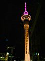 SkyTower at Night