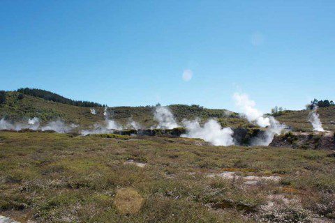 Steaming Landscape