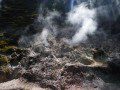 Steam Vents