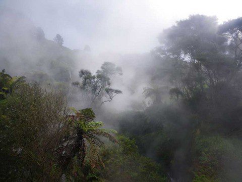 Steamy Valley