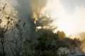 Sunlight