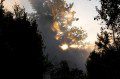 Sunlight