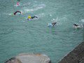 Swimming