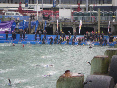 Swim Familiarisation Swim Familiarisation