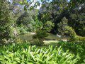 Swimming Hole
