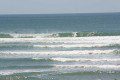Surfing The Bar, Whangamata